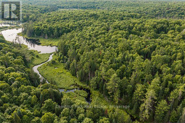 N/a .n/a, Muskoka Lakes, Ontario  P0C 1J0 - Photo 4 - X13515308