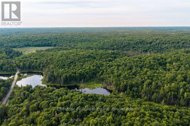 N/a .n/a, Muskoka Lakes, Ontario  P0C 1J0 - Photo 6 - X13515308