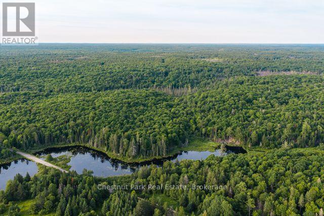 0 0, Muskoka Lakes, Ontario  P0C 1J0 - Photo 6 - X13515360