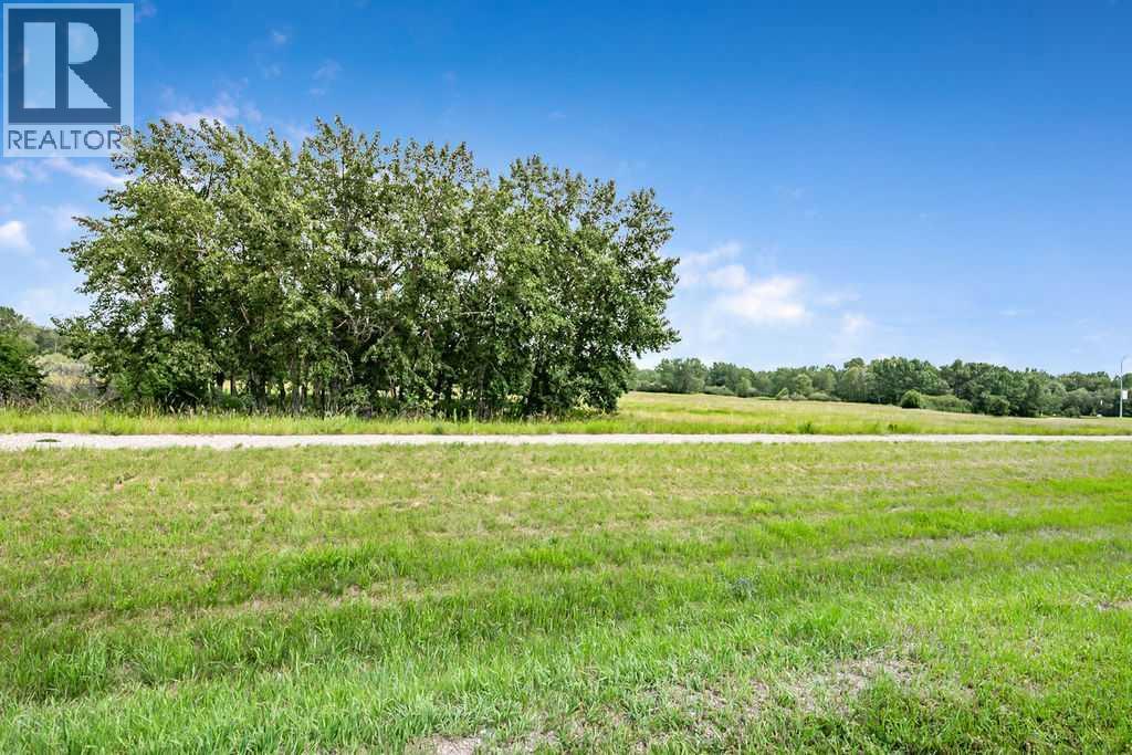 703 Eagleview Place NW, High River, Alberta  T1V 1Y6 - Photo 33 - A2328238