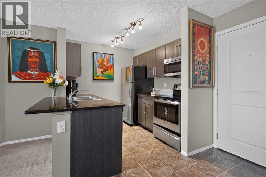 217, 5 Saddlestone Way Ne, Calgary, Alberta  T3J 0S2 - Photo 15 - A2325303
