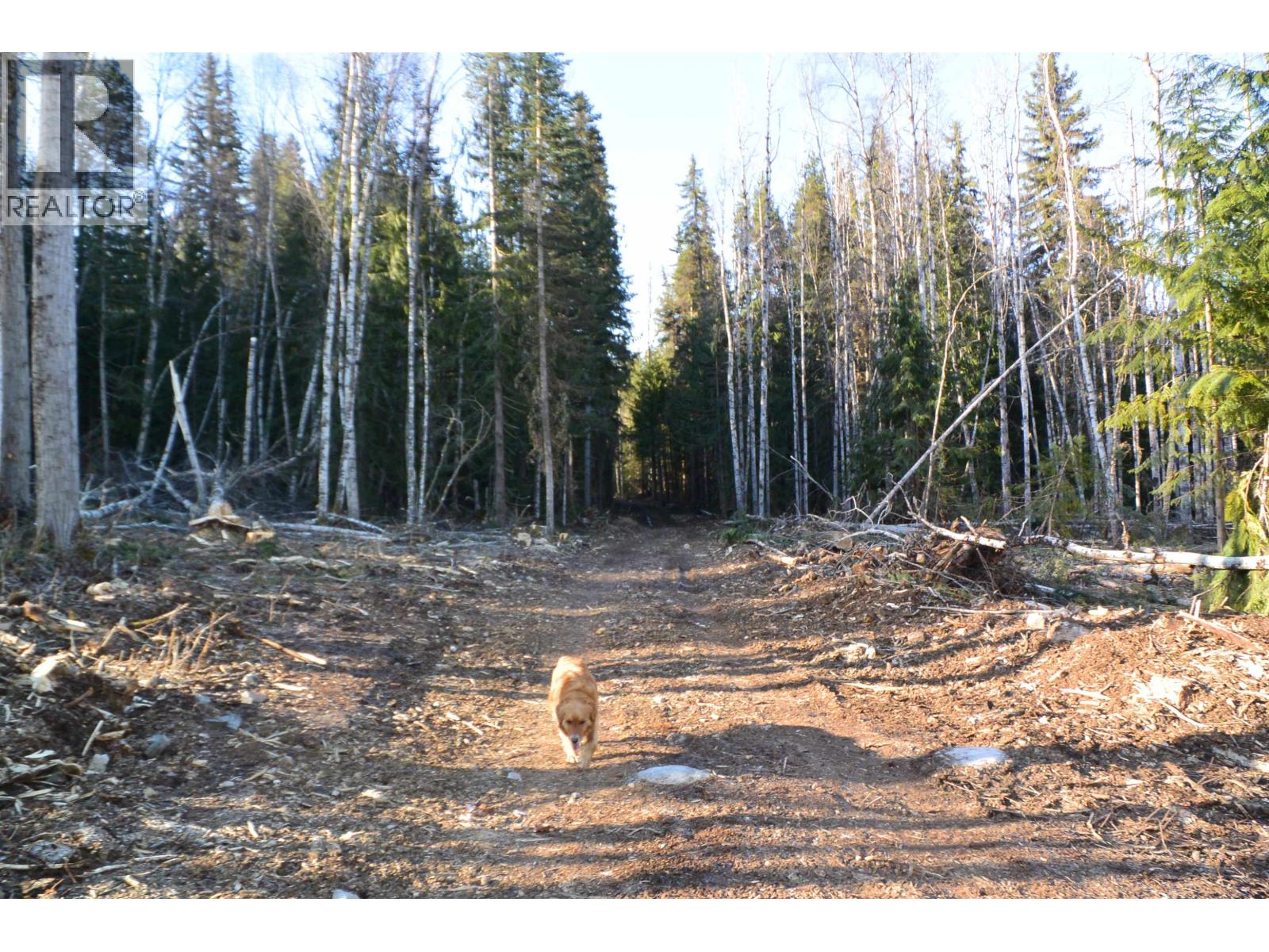 Dl 811 16 Highway, New Hazelton, British Columbia  V0J 2J0 - Photo 19 - R3147108