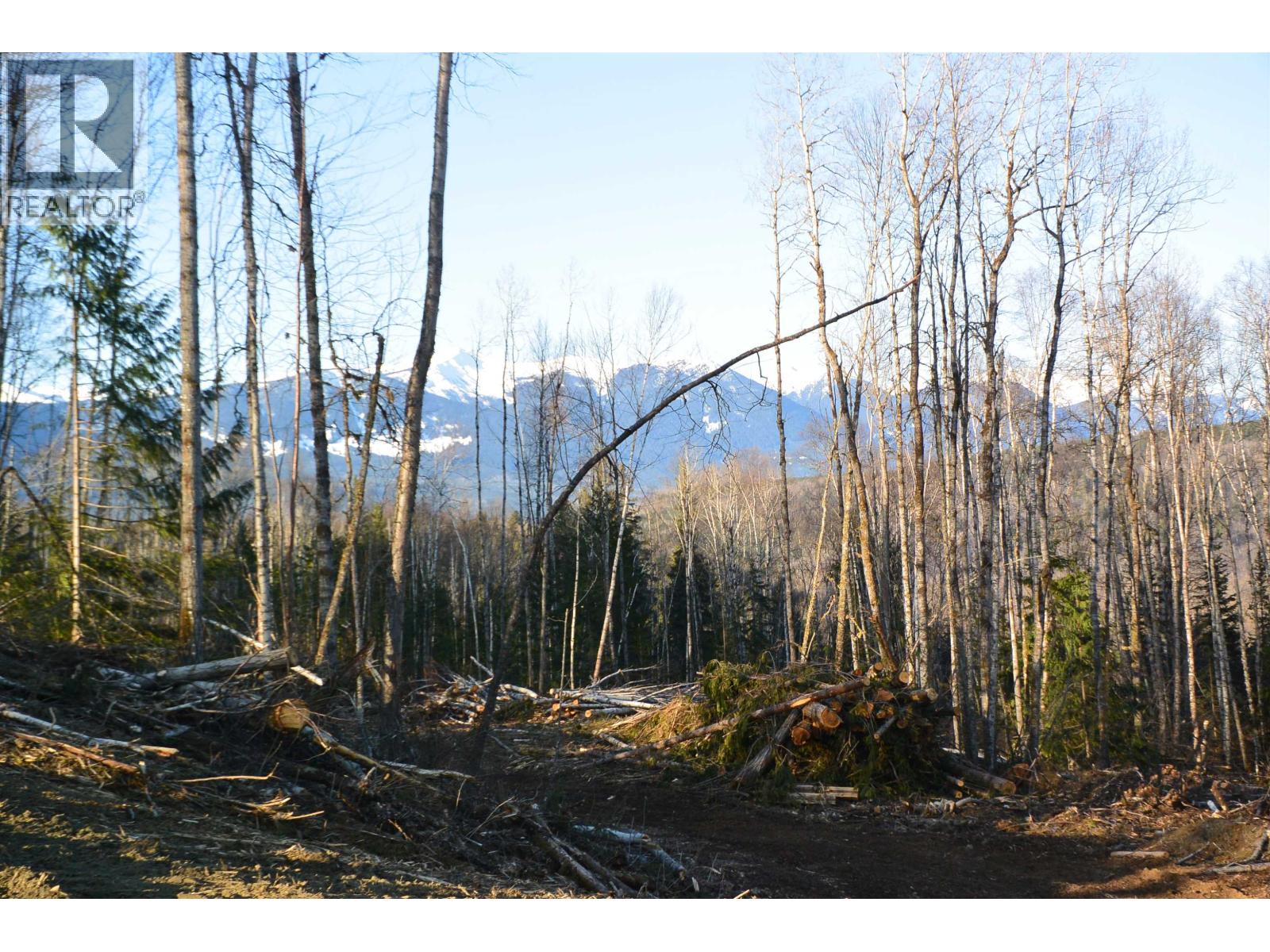 Dl 811 16 Highway, New Hazelton, British Columbia  V0J 2J0 - Photo 12 - R3147108