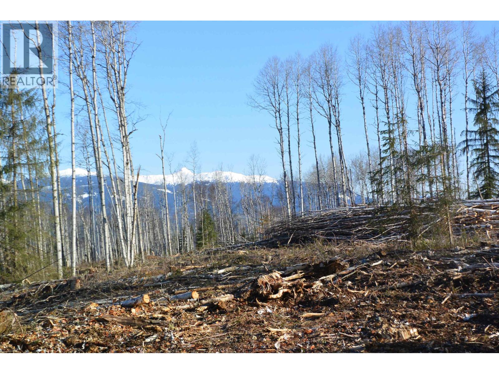 Dl 811 16 Highway, New Hazelton, British Columbia  V0J 2J0 - Photo 21 - R3147108
