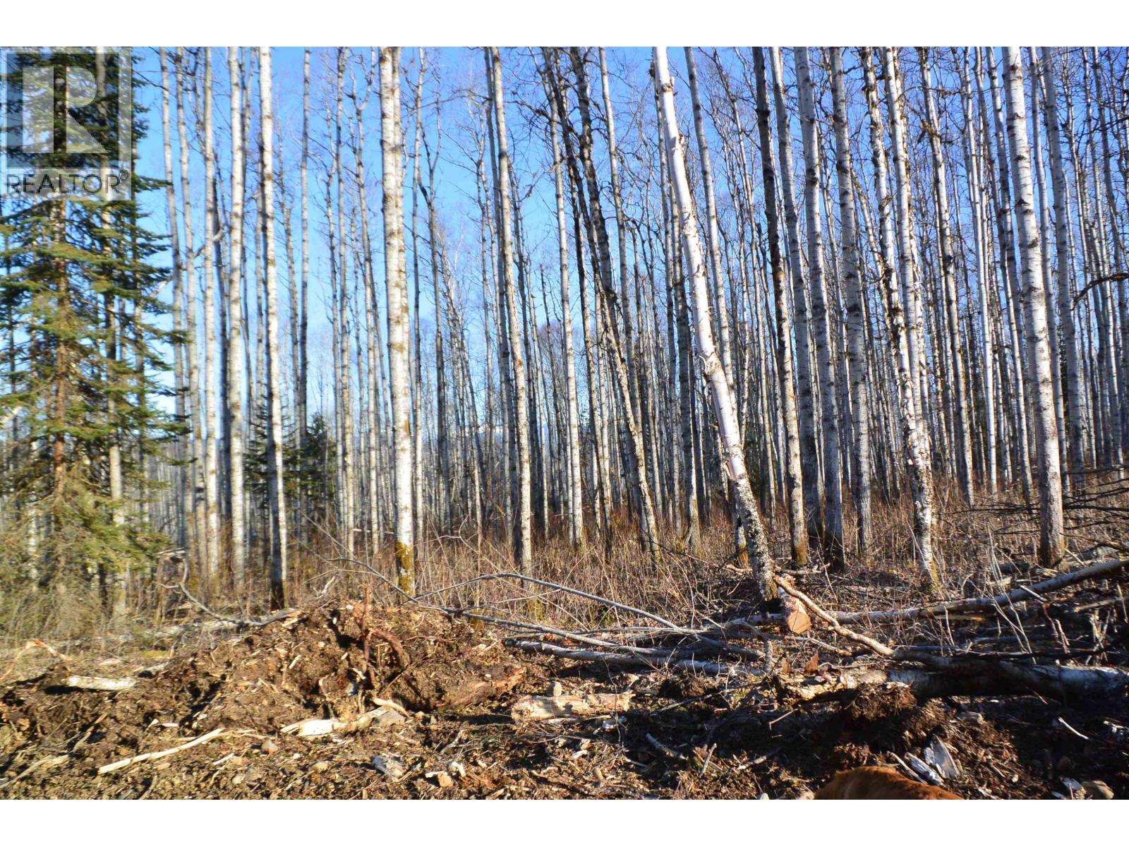 Dl 811 16 Highway, New Hazelton, British Columbia  V0J 2J0 - Photo 18 - R3147108