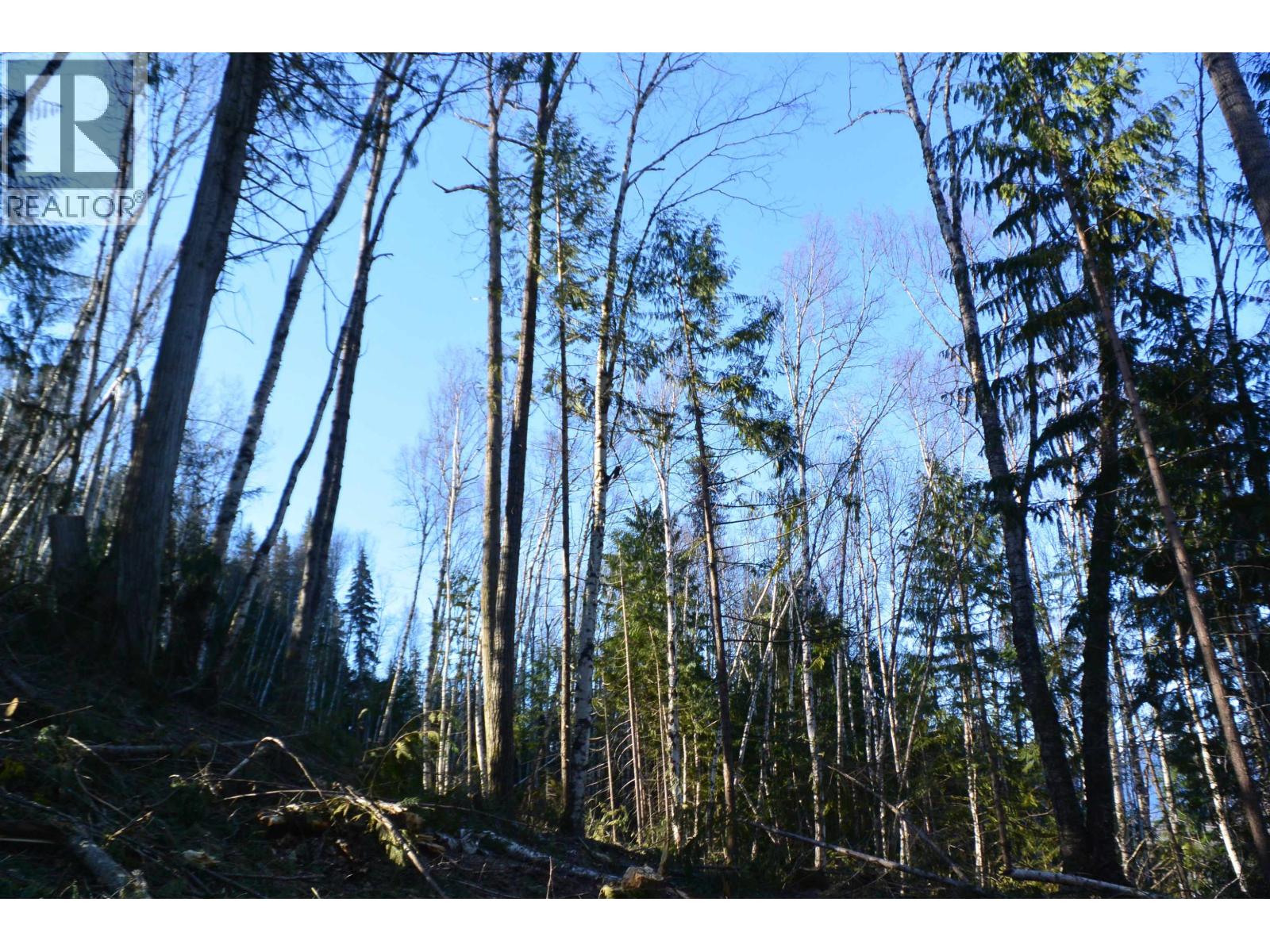 Dl 811 16 Highway, New Hazelton, British Columbia  V0J 2J0 - Photo 25 - R3147108