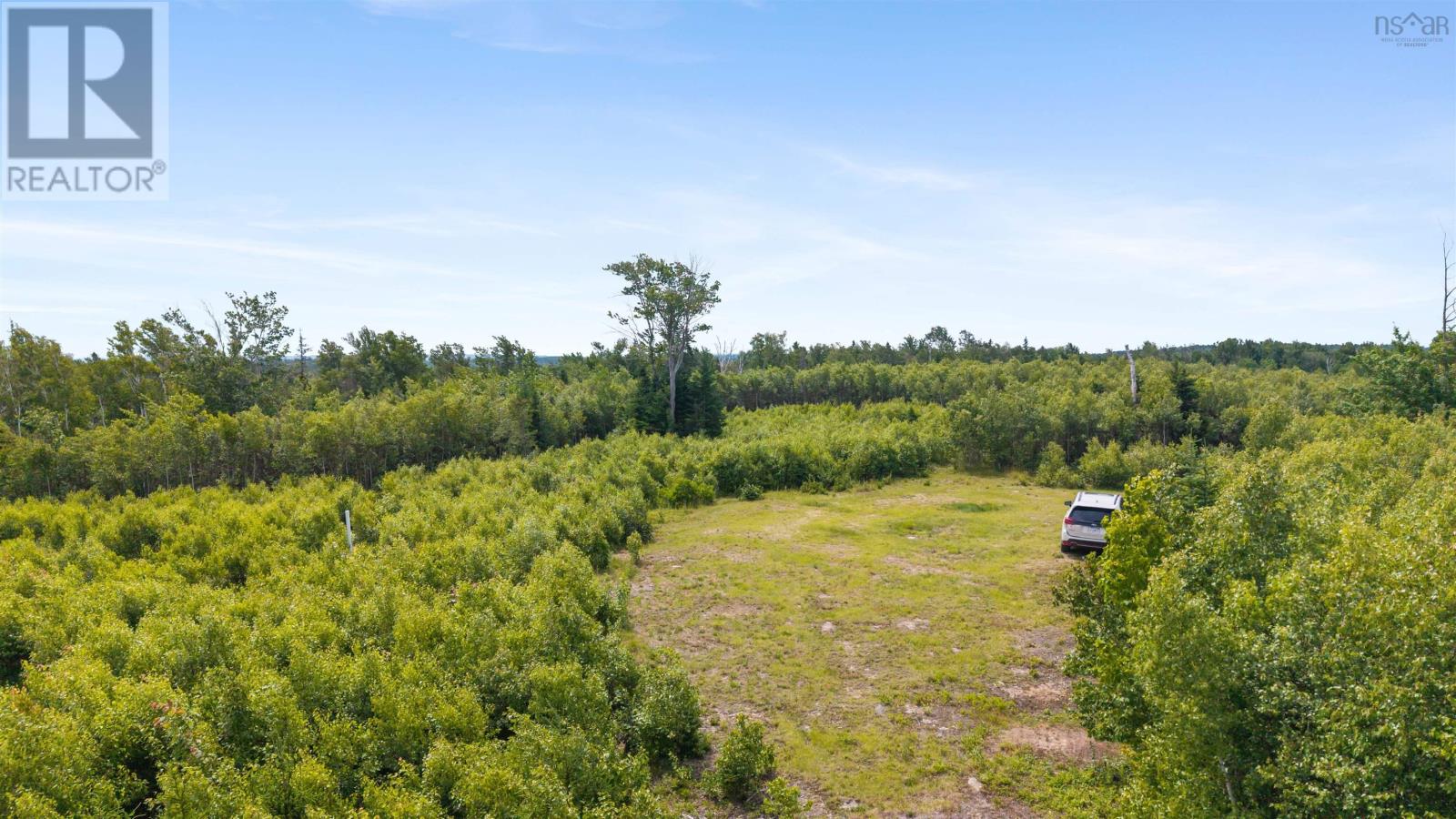 Lot 4 Johnston's Way, Chance Harbour, Nova Scotia  B0K 1X0 - Photo 11 - 202617760
