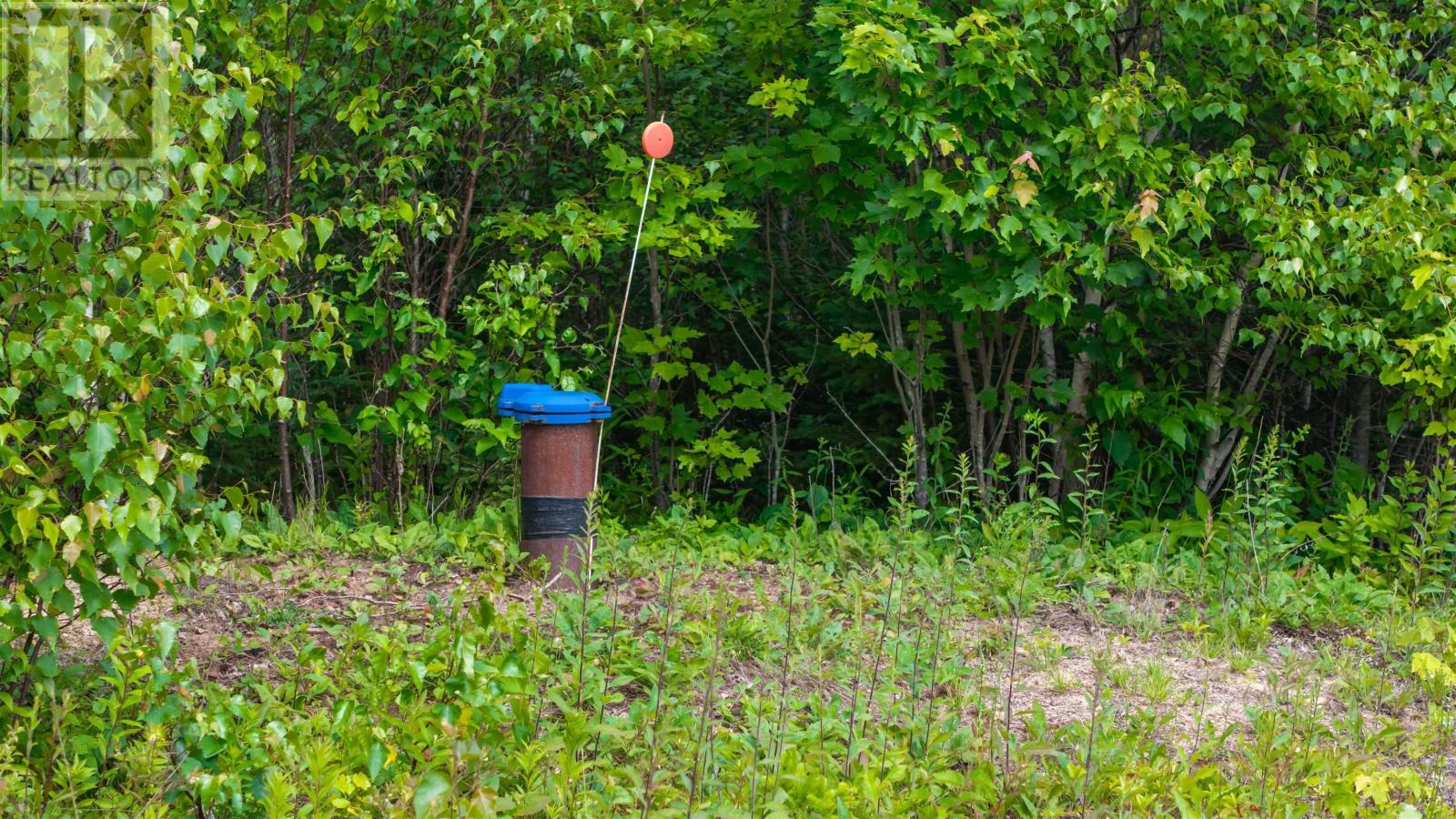 Lot 4 Johnston's Way, Chance Harbour, Nova Scotia  B0K 1X0 - Photo 13 - 202617760