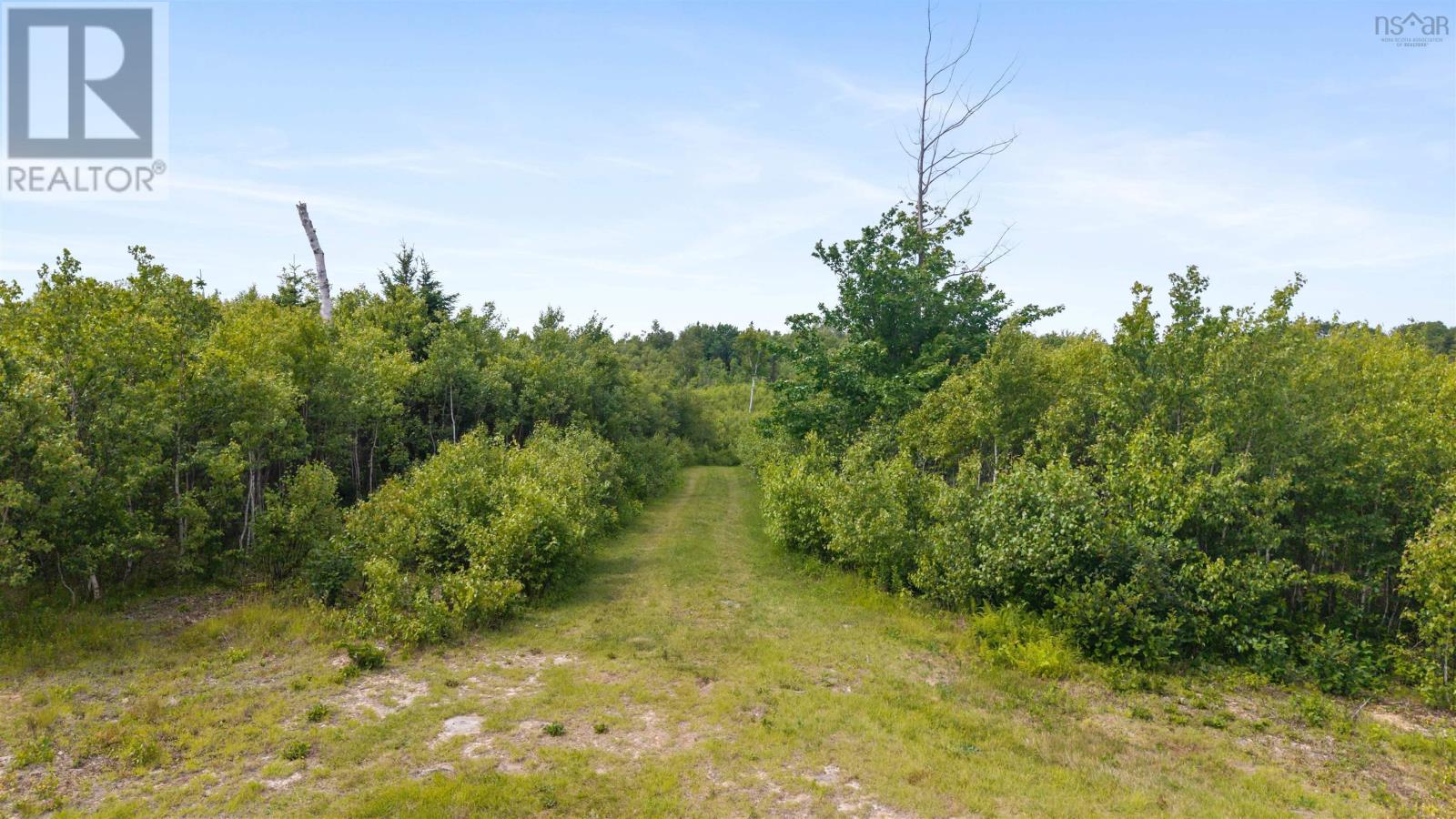 Lot 4 Johnston's Way, Chance Harbour, Nova Scotia  B0K 1X0 - Photo 14 - 202617760