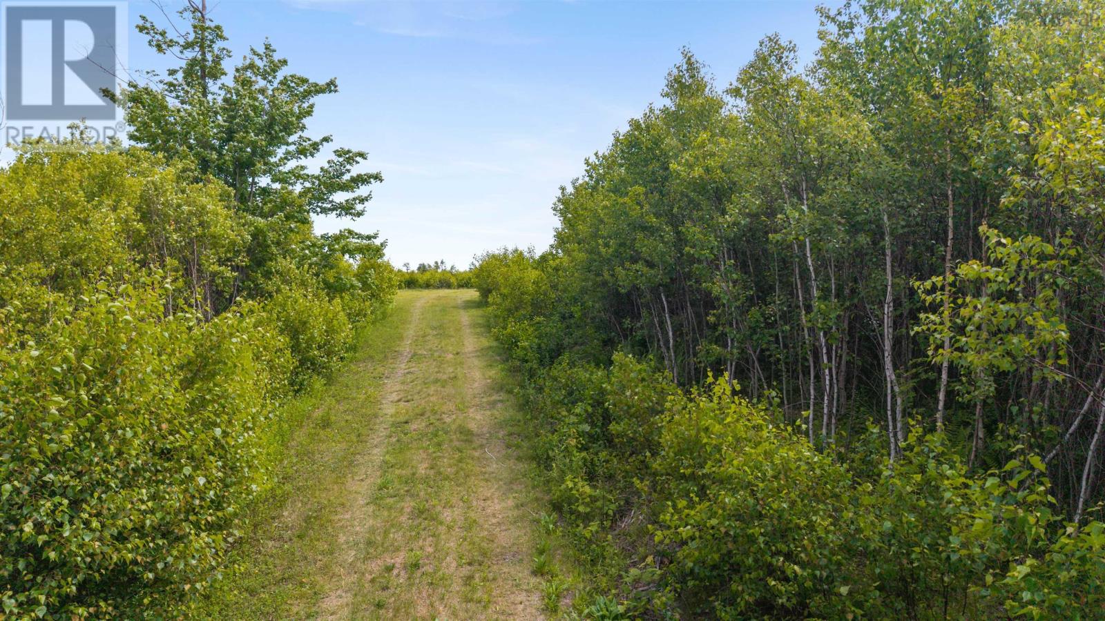 Lot 4 Johnston's Way, Chance Harbour, Nova Scotia  B0K 1X0 - Photo 15 - 202617760