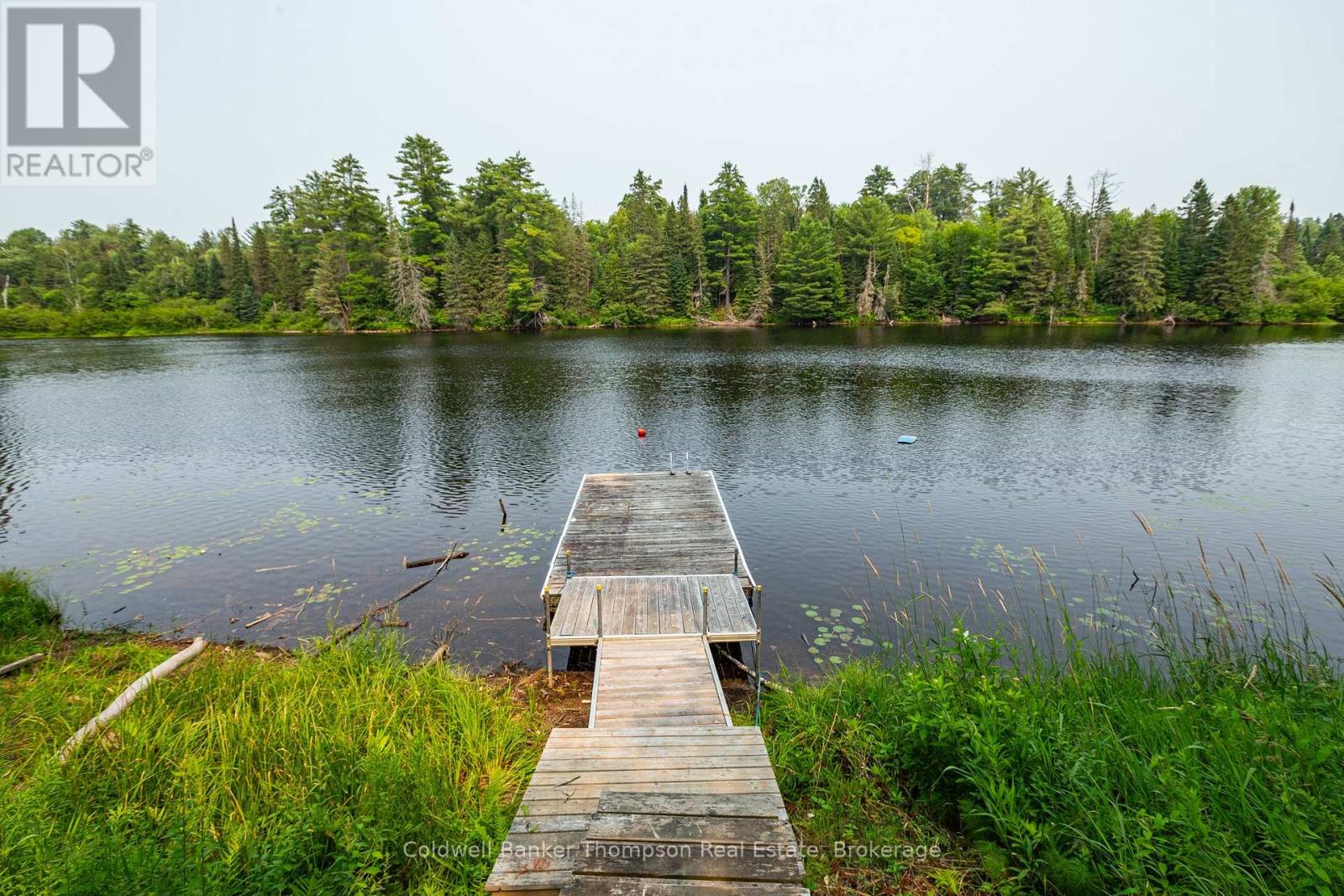 880 Stephenson Rd 2 Road E, Huntsville, Ontario P0B 1L0 - Photo 10 - X13572998