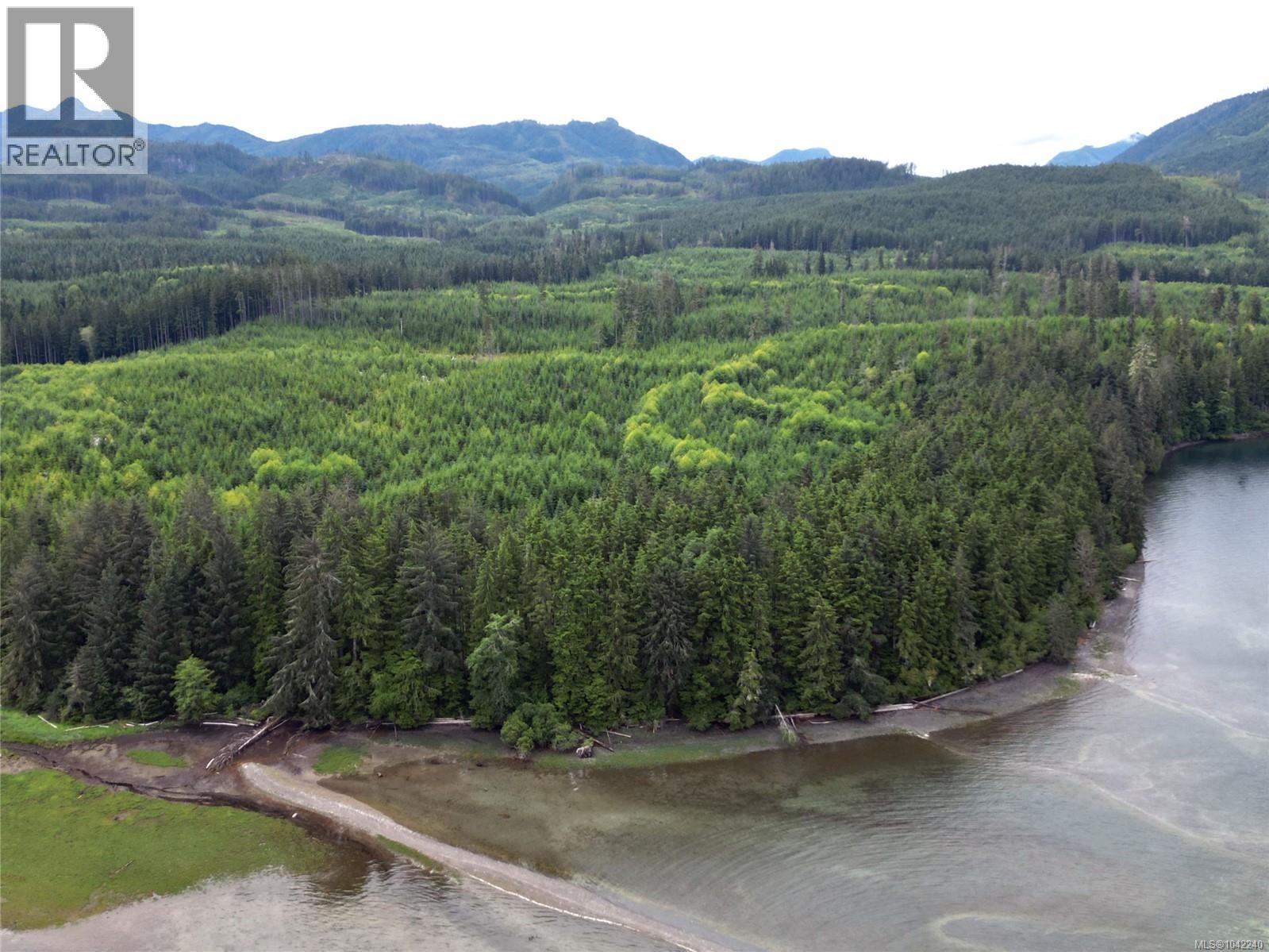Sec 8 Kewquodie Creek, Quatsino, British Columbia V0N 2V0 - Photo 6 - 1042240