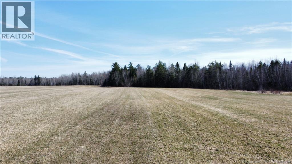 Lot Route 126, Rogersville, New Brunswick  E4Y 2N8 - Photo 24 - NB119222