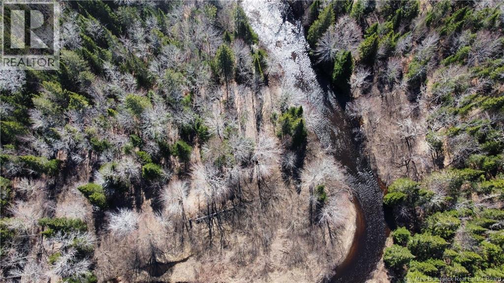 Lot Route 126, Rogersville, New Brunswick  E4Y 2N8 - Photo 14 - NB119222