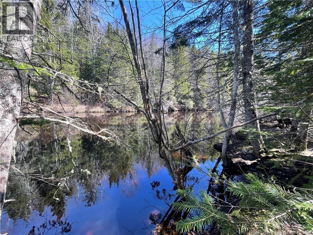 Lot Route 126, Rogersville, New Brunswick  E4Y 2N8 - Photo 37 - NB119222