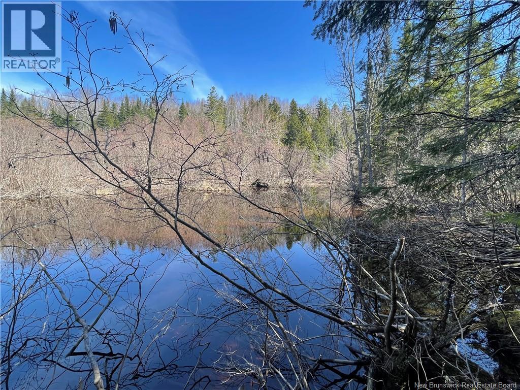 Lot Route 126, Rogersville, New Brunswick  E4Y 2N8 - Photo 29 - NB119222