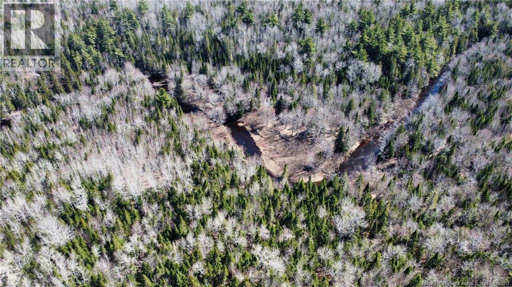 Lot Route 126, Rogersville, New Brunswick  E4Y 2N8 - Photo 10 - NB119222