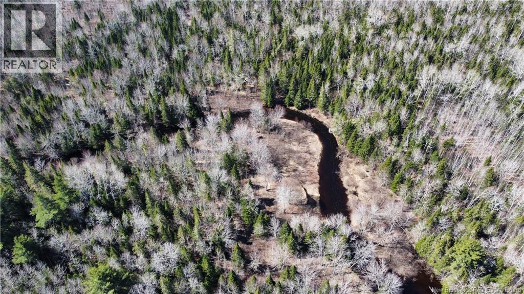 Lot Route 126, Rogersville, New Brunswick  E4Y 2N8 - Photo 13 - NB119222