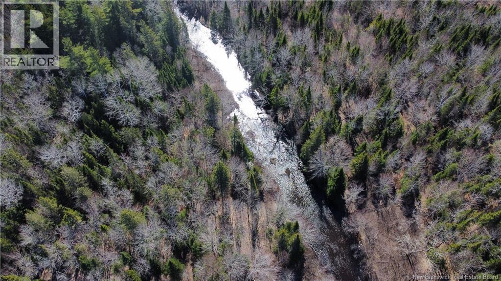 Lot Route 126, Rogersville, New Brunswick  E4Y 2N8 - Photo 16 - NB119222