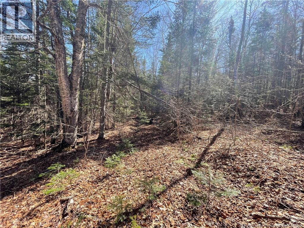 Lot Route 126, Rogersville, New Brunswick  E4Y 2N8 - Photo 26 - NB119222