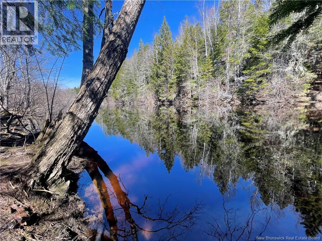 Lot Route 126, Rogersville, New Brunswick  E4Y 2N8 - Photo 2 - NB119222