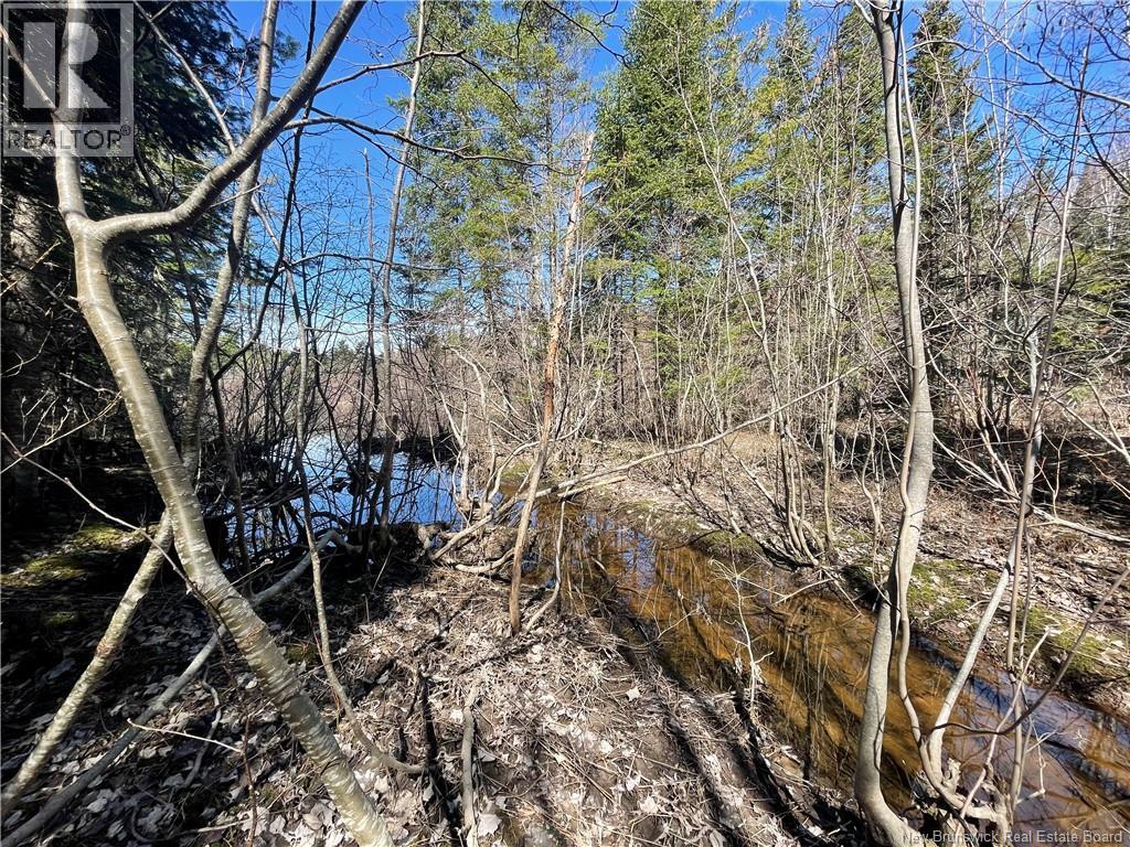 Lot Route 126, Rogersville, New Brunswick  E4Y 2N8 - Photo 32 - NB119222