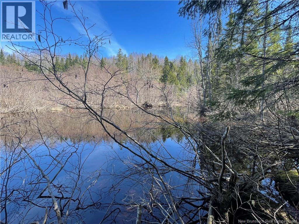 Lot Route 126, Rogersville, New Brunswick  E4Y 2N8 - Photo 30 - NB119222