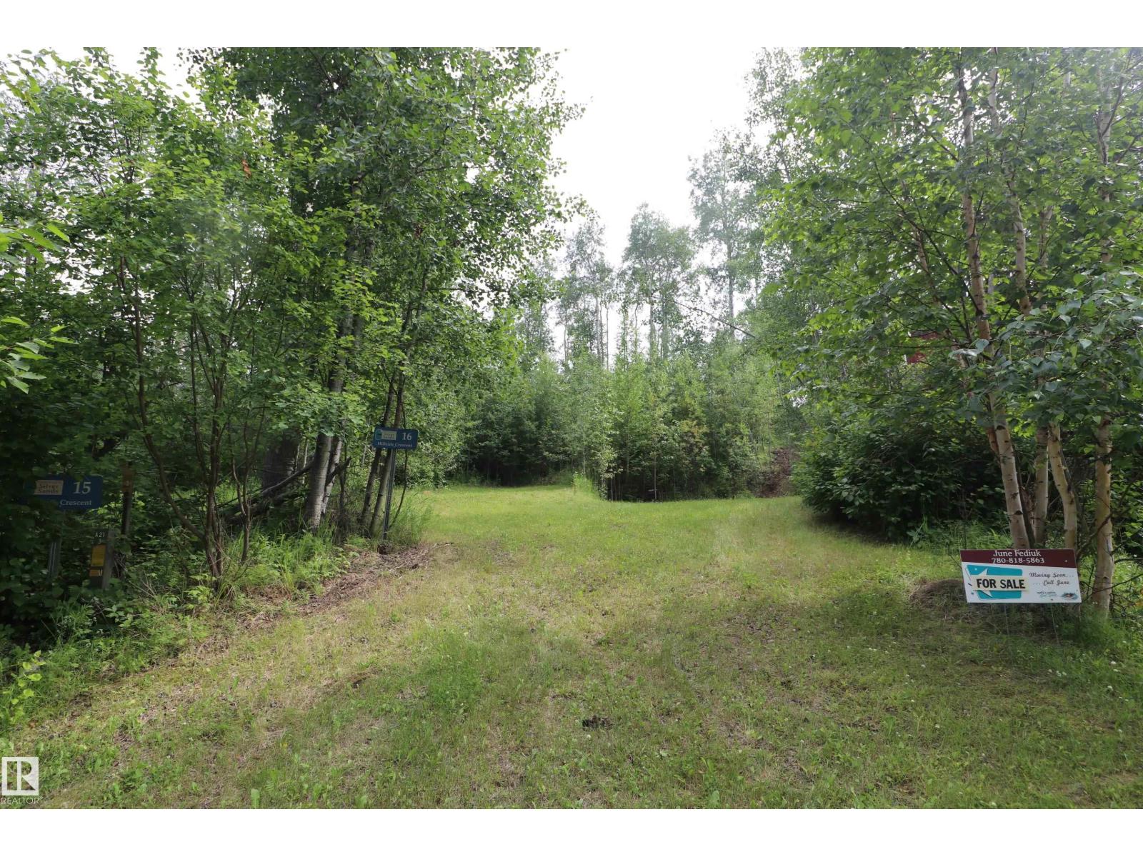 16 Hillside Cr, Rural Lac Ste. Anne County, Alberta  T0E 1V0 - Photo 2 - E4499203