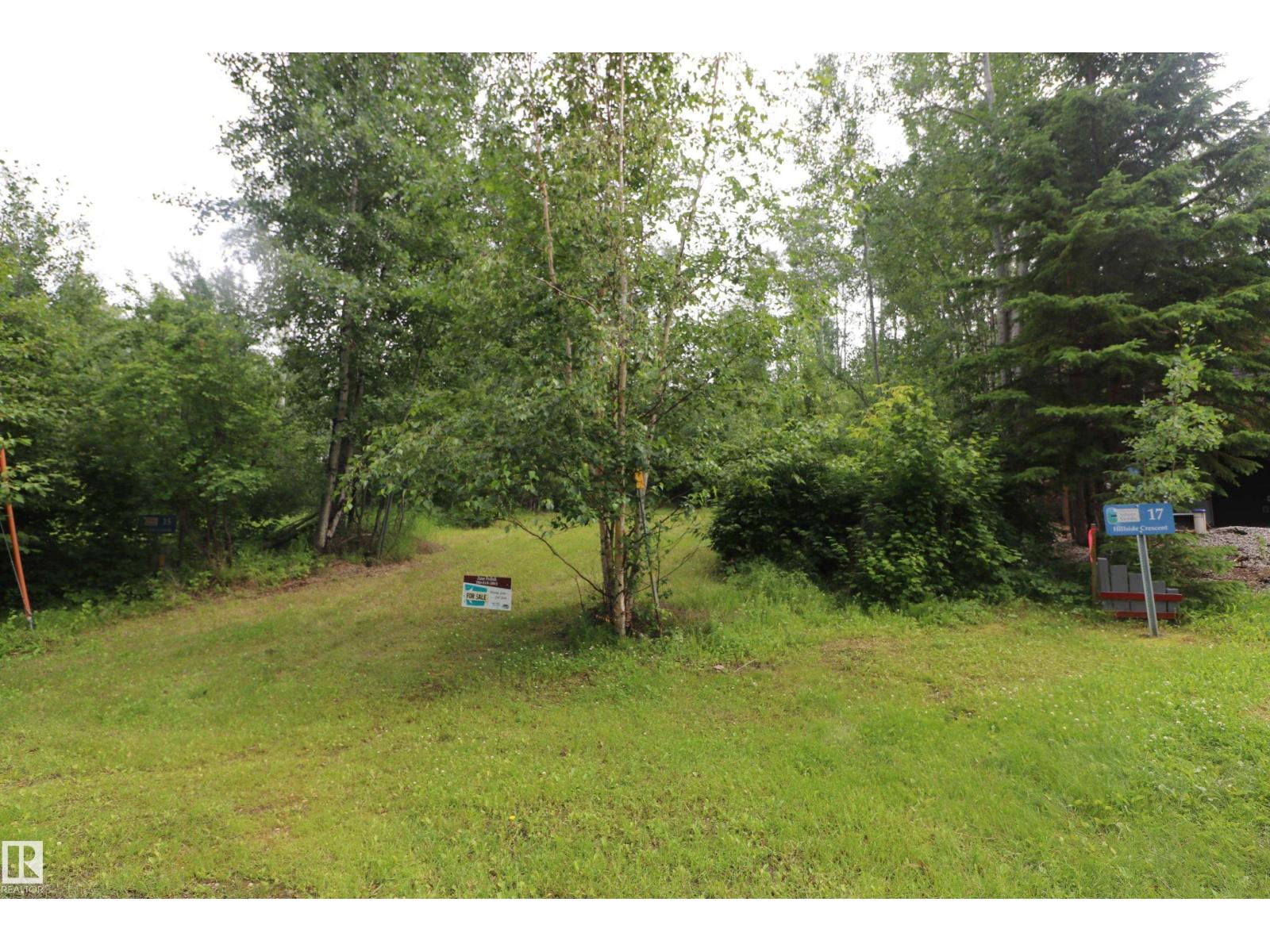 16 Hillside Cr, Rural Lac Ste. Anne County, Alberta  T0E 1V0 - Photo 4 - E4499203