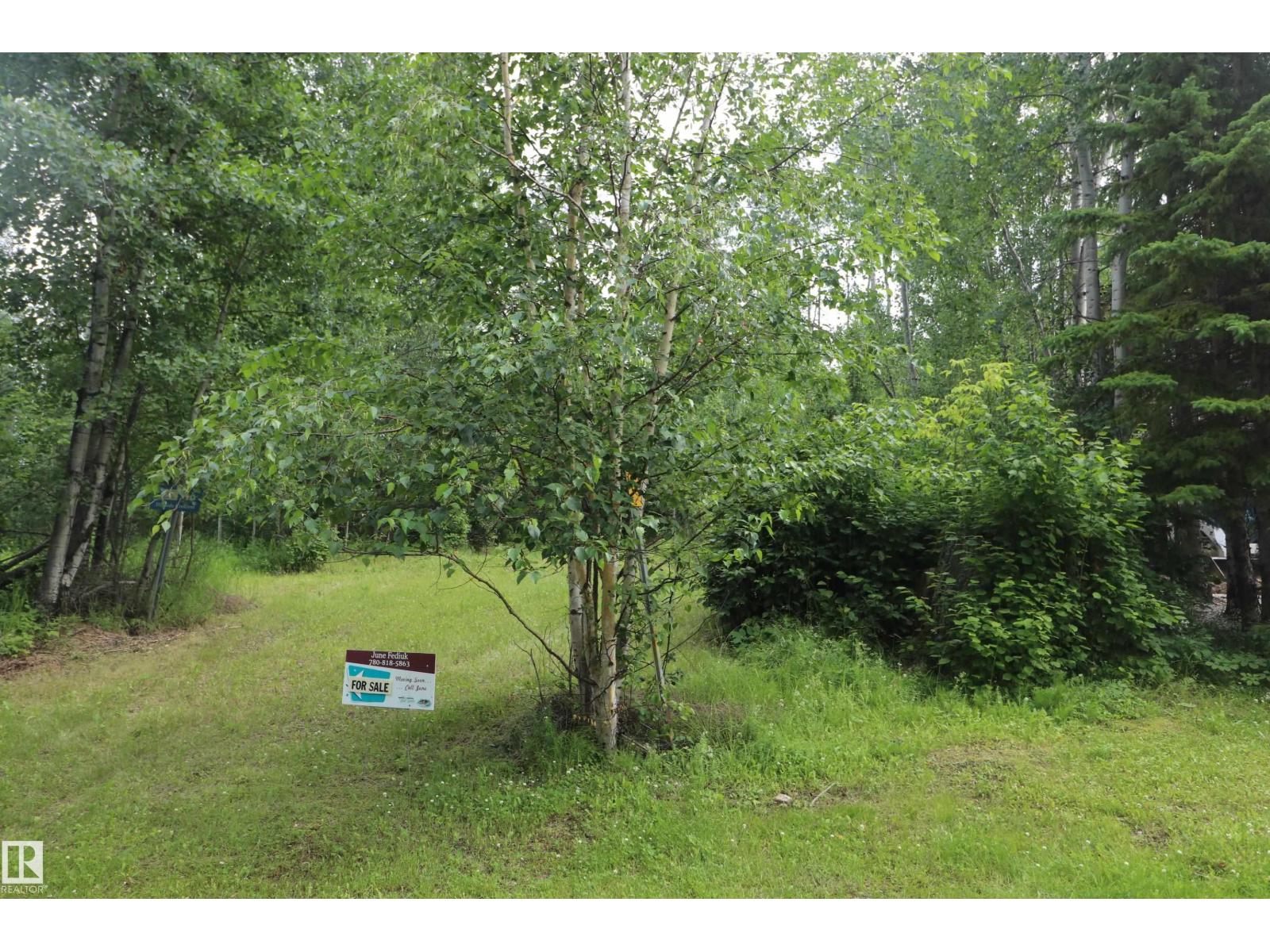 16 Hillside Cr, Rural Lac Ste. Anne County, Alberta  T0E 1V0 - Photo 3 - E4499203