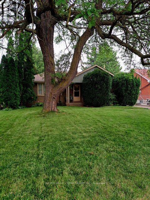 25 ARCH ROAD, Mississauga (Streetsville)