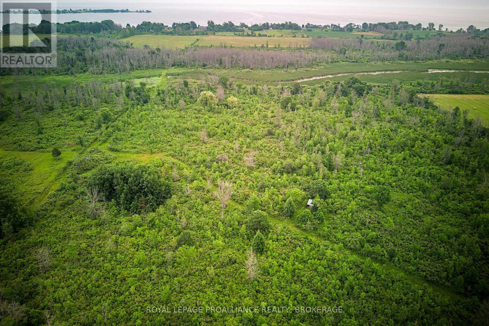 68 3rd Concession Road, Loyalist, Ontario  K0H 2S0 - Photo 24 - X13174454