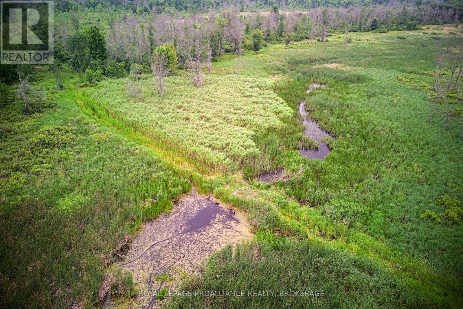 68 3rd Concession Road, Loyalist, Ontario  K0H 2S0 - Photo 19 - X13174454