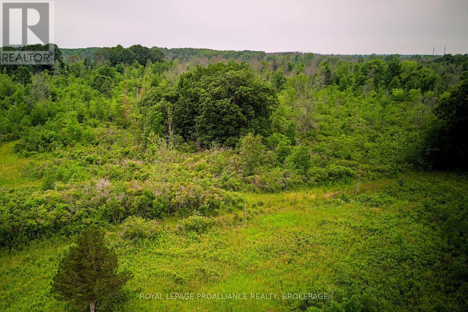 68 3rd Concession Road, Loyalist, Ontario  K0H 2S0 - Photo 23 - X13174454