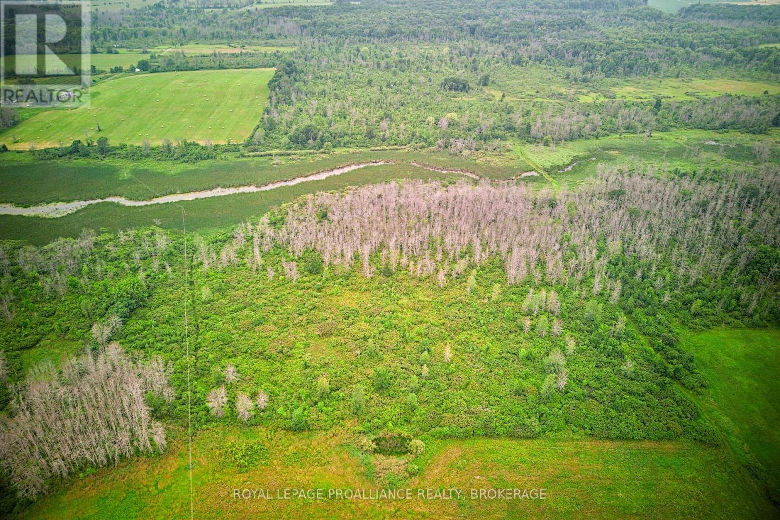 68 3rd Concession Road, Loyalist, Ontario  K0H 2S0 - Photo 12 - X13174454