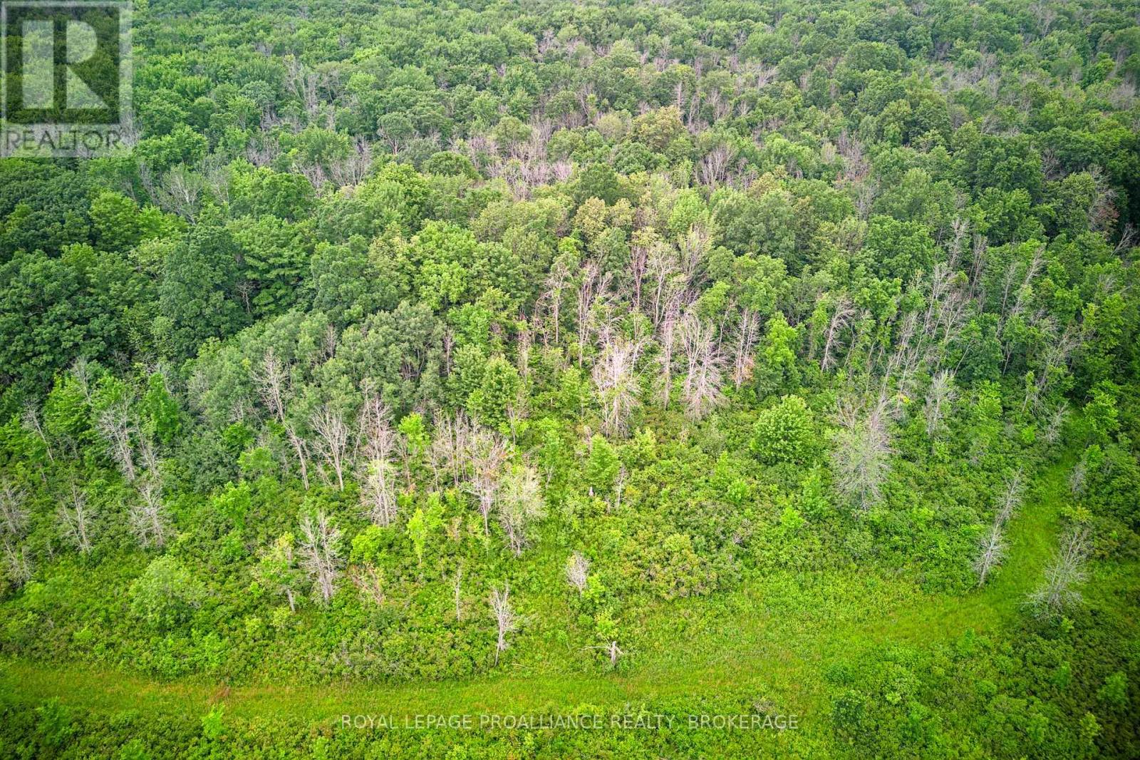 68 3rd Concession Road, Loyalist, Ontario  K0H 2S0 - Photo 25 - X13174454