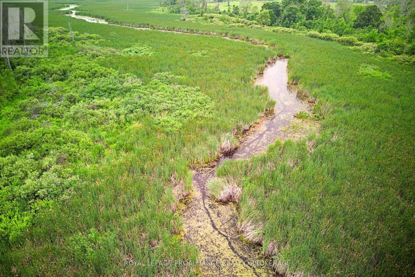 68 3rd Concession Road, Loyalist, Ontario  K0H 2S0 - Photo 20 - X13174454