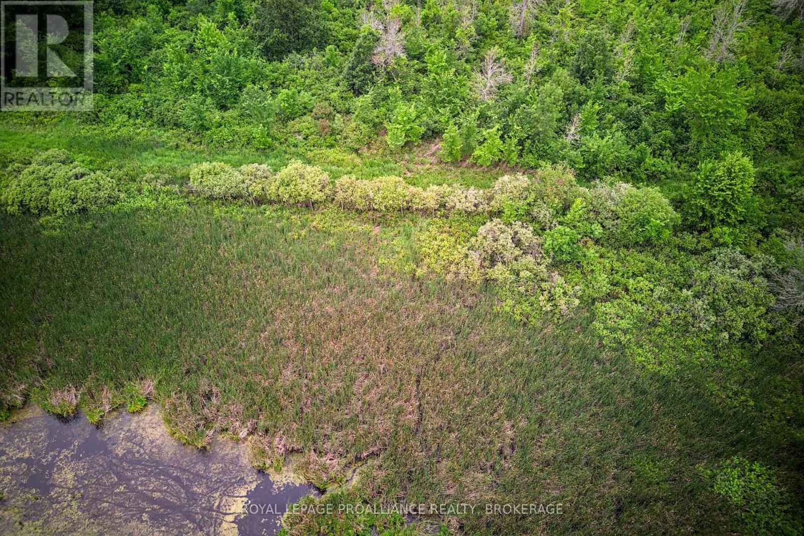 68 3rd Concession Road, Loyalist, Ontario  K0H 2S0 - Photo 22 - X13174454