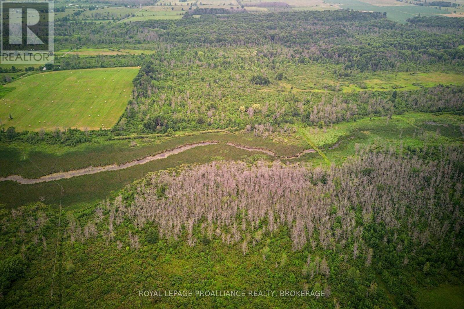 68 3rd Concession Road, Loyalist, Ontario  K0H 2S0 - Photo 9 - X13174454