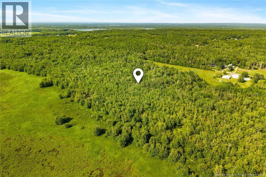 000 Morrow Road, French Lake, New Brunswick E2V 0O0 - Photo 10 - NB144227