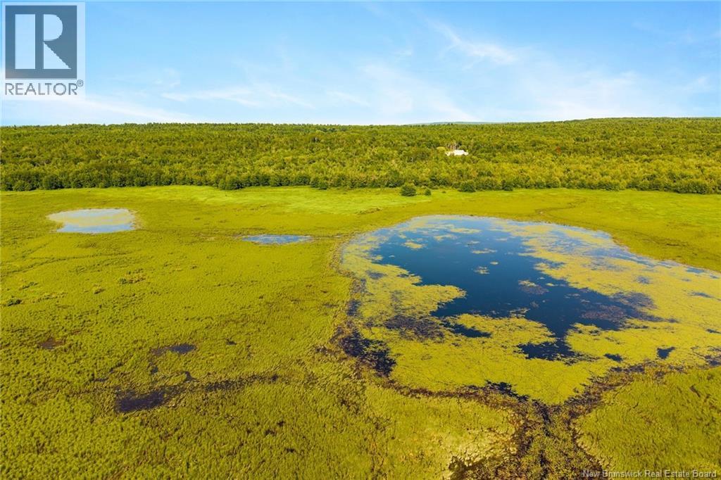 000 Morrow Road, French Lake, New Brunswick E2V 0O0 - Photo 11 - NB144227