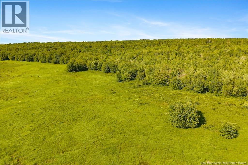 000 Morrow Road, French Lake, New Brunswick E2V 0O0 - Photo 12 - NB144227