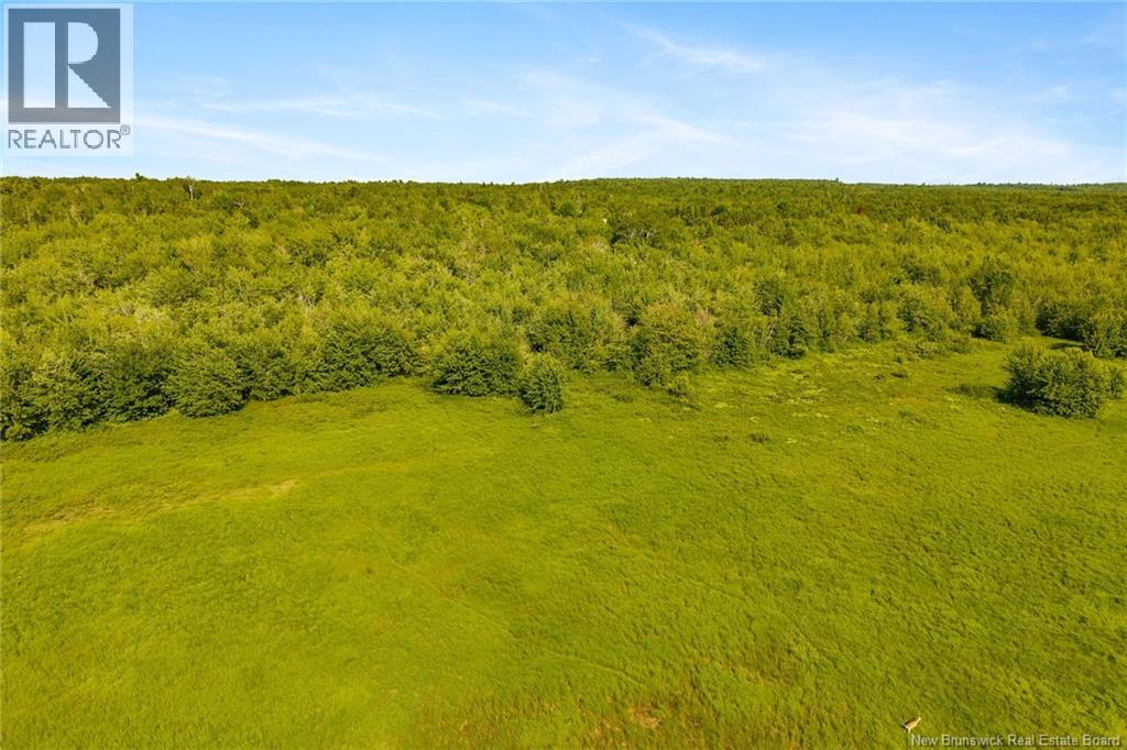 000 Morrow Road, French Lake, New Brunswick E2V 0O0 - Photo 13 - NB144227