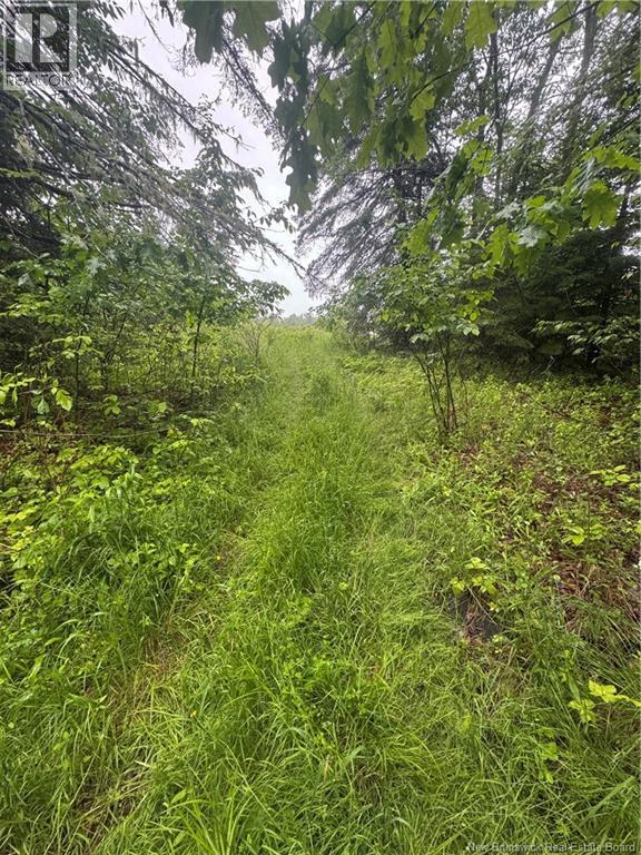 000 Morrow Road, French Lake, New Brunswick E2V 0O0 - Photo 18 - NB144227