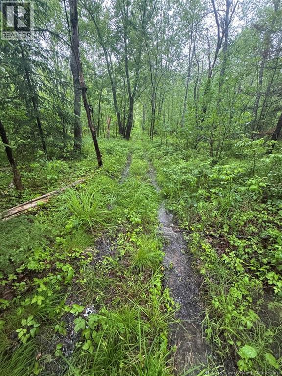 000 Morrow Road, French Lake, New Brunswick E2V 0O0 - Photo 19 - NB144227