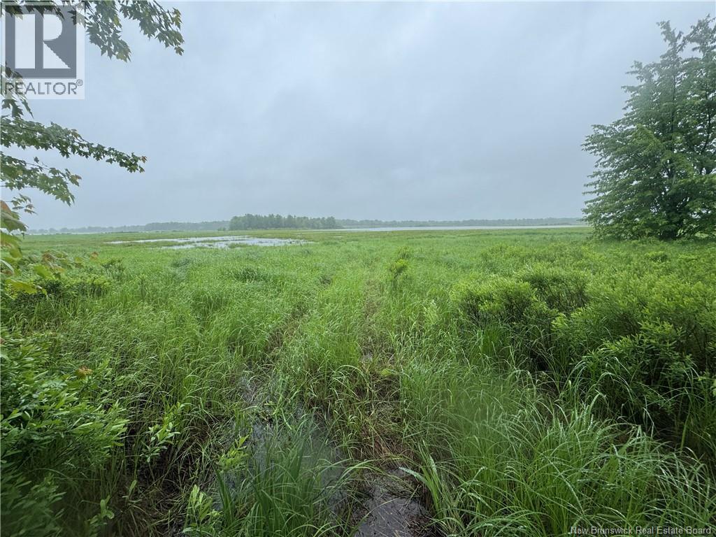000 Morrow Road, French Lake, New Brunswick E2V 0O0 - Photo 21 - NB144227