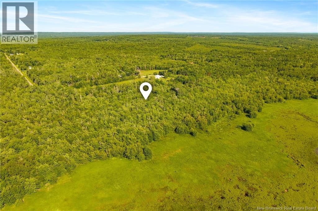 000 Morrow Road, French Lake, New Brunswick E2V 0O0 - Photo 5 - NB144227