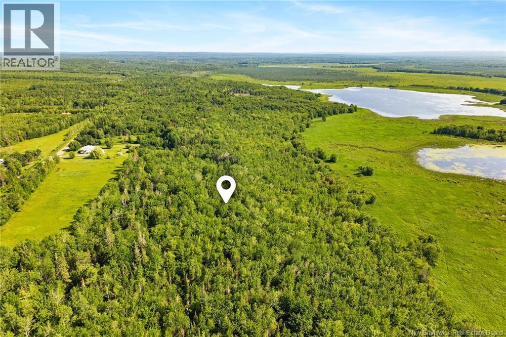 000 Morrow Road, French Lake, New Brunswick E2V 0O0 - Photo 6 - NB144227