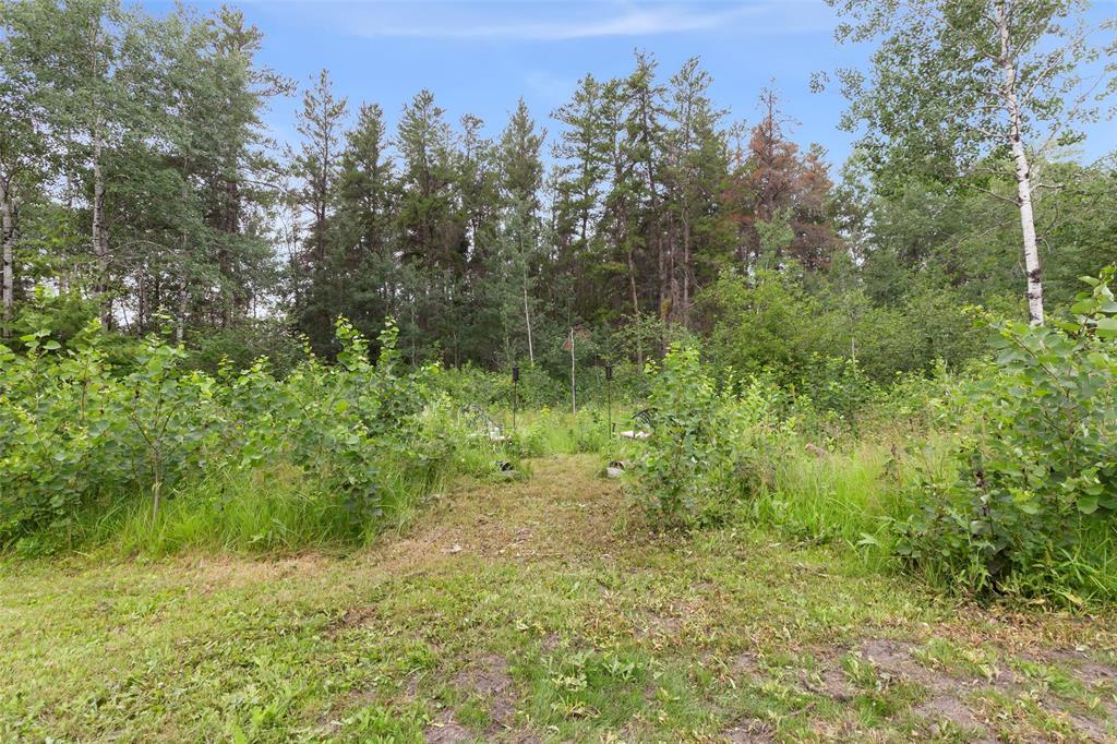 14 Rue Gerard Tetrault Street, Marchand, Manitoba R0A 0Z0 - Photo 25 - 202616590