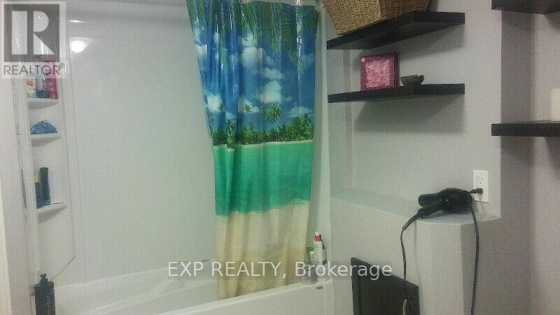 Bsmt Room-L - 31 Matterdale Avenue, Brampton, Ontario  L6Y 4J6 - Photo 3 - W13573500